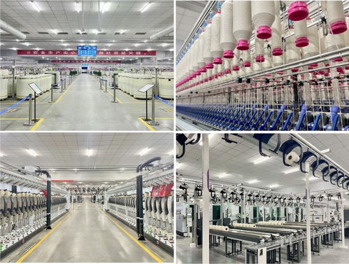 數(shù)智世界亮相2024年紡紗技術(shù)高峰論壇 分享新材料技術(shù)開發(fā)與智慧工廠實(shí)踐