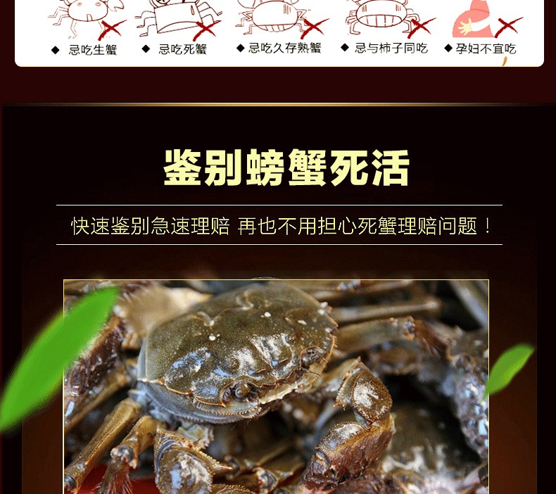 肥王大閘蟹 陽(yáng)澄湖大閘蟹公蟹6.0兩 母蟹4.0兩 4對(duì)8只裝包郵(圖20)
