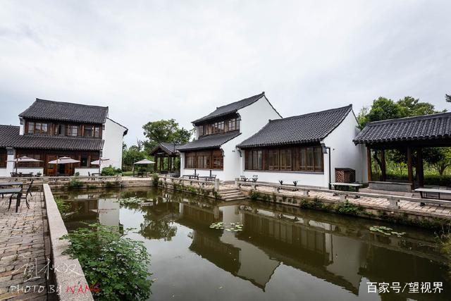 蘆蕩唱晚,夜宿沙家浜,嘗陽澄湖大閘蟹,枕著蟲鳴入睡(圖6) 蘆蕩唱晚,夜宿沙家浜,嘗陽澄湖大閘蟹,枕著蟲鳴入睡(圖6)
