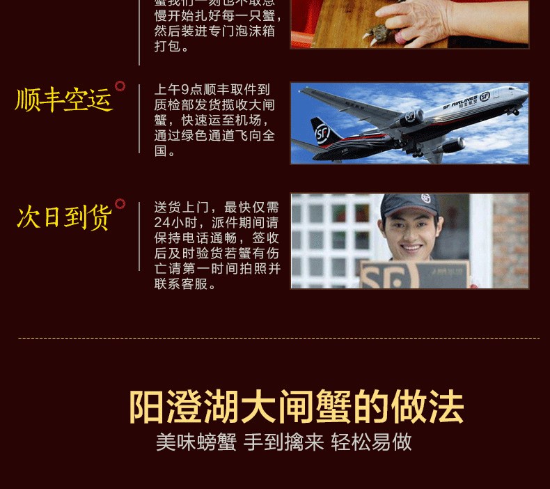 肥王大閘蟹 陽(yáng)澄湖大閘蟹公蟹6.0兩 母蟹4.0兩 4對(duì)8只裝包郵(圖17)
