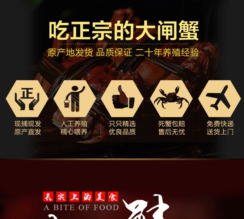 肥王大閘蟹 陽(yáng)澄湖大閘蟹公蟹6.0兩 母蟹4.0兩 4對(duì)8只裝包郵(圖4)
