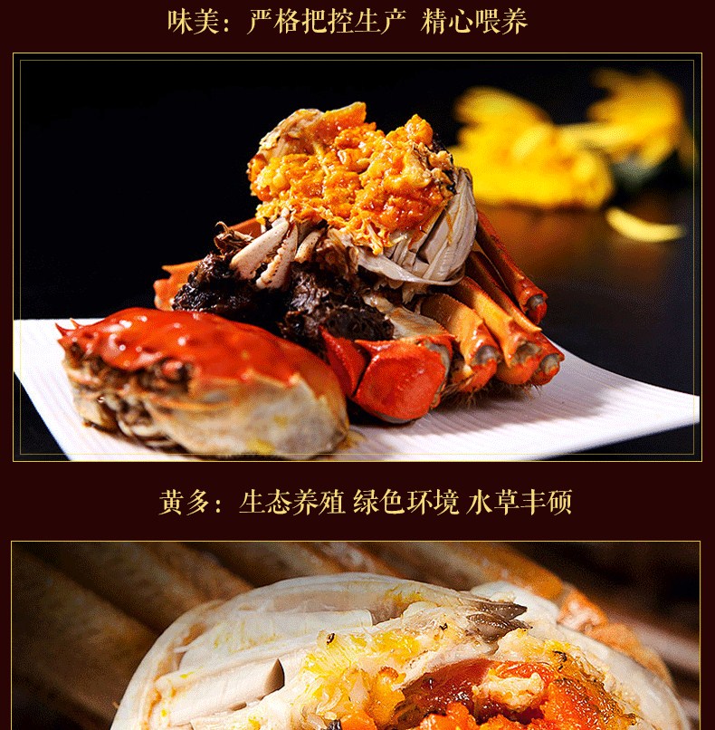 肥王大閘蟹 陽(yáng)澄湖大閘蟹公蟹6.0兩 母蟹4.0兩 4對(duì)8只裝包郵(圖11)
