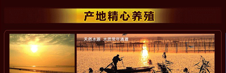 肥王大閘蟹 陽(yáng)澄湖大閘蟹公蟹6.0兩 母蟹4.0兩 4對(duì)8只裝包郵(圖13)