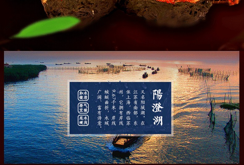 肥王大閘蟹 陽(yáng)澄湖大閘蟹公蟹6.0兩 母蟹4.0兩 4對(duì)8只裝包郵(圖6)