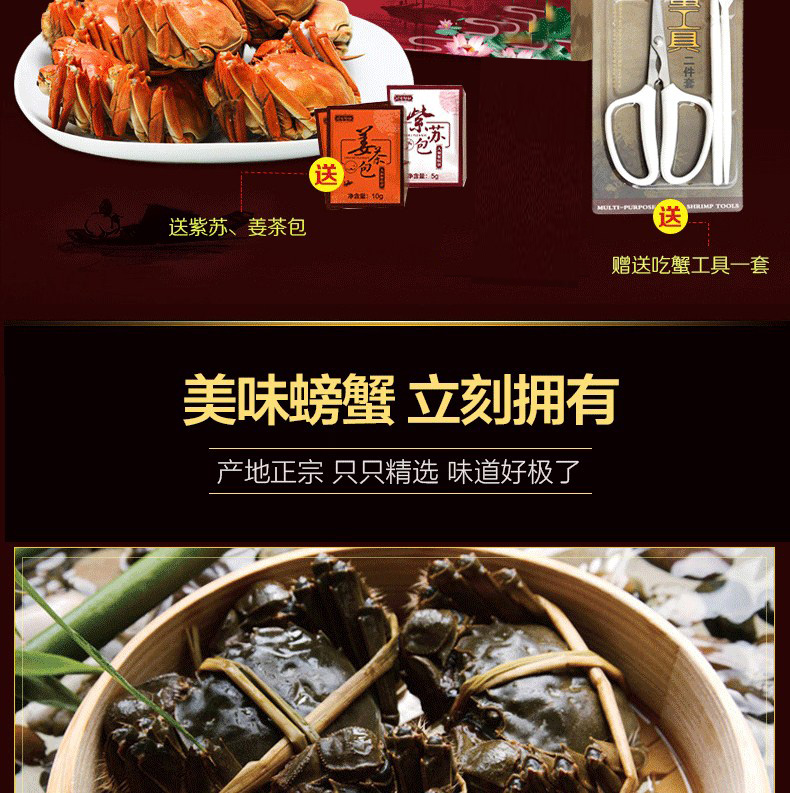肥王大閘蟹 陽(yáng)澄湖大閘蟹公蟹6.0兩 母蟹4.0兩 4對(duì)8只裝包郵(圖9)