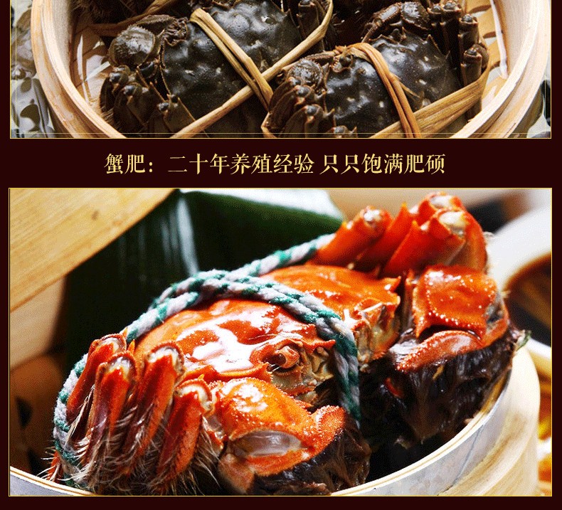 肥王大閘蟹 陽(yáng)澄湖大閘蟹公蟹6.0兩 母蟹4.0兩 4對(duì)8只裝包郵(圖10)