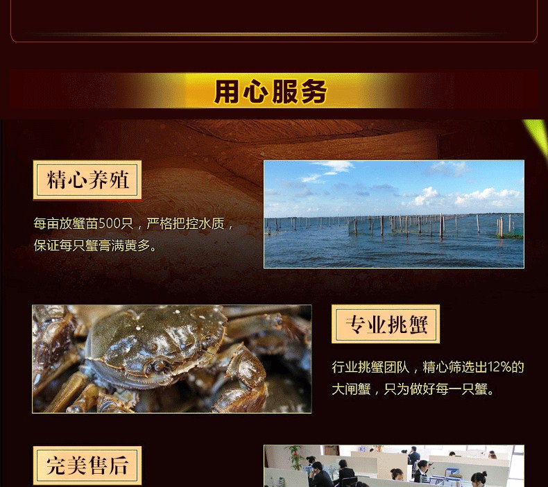 肥王大閘蟹 陽(yáng)澄湖大閘蟹公蟹6.0兩 母蟹4.0兩 4對(duì)8只裝包郵(圖15)