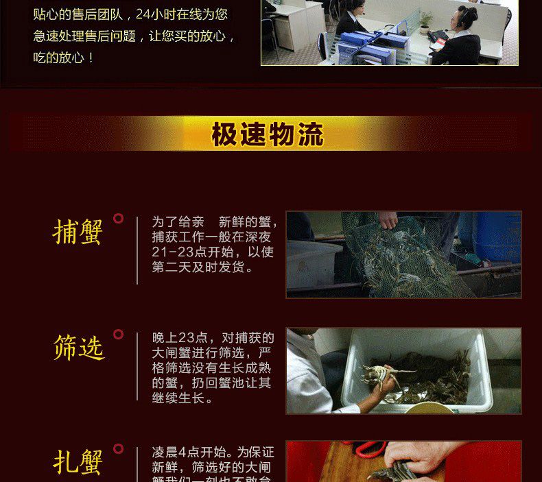 肥王大閘蟹 陽(yáng)澄湖大閘蟹公蟹6.0兩 母蟹4.0兩 4對(duì)8只裝包郵(圖16)